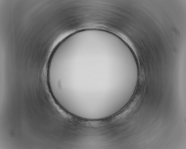 X0000113121053200909181645