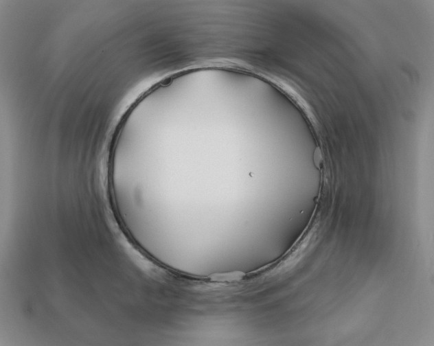 X0000113121054200909181645