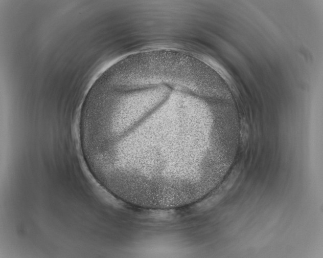 X0000113121055200909181645