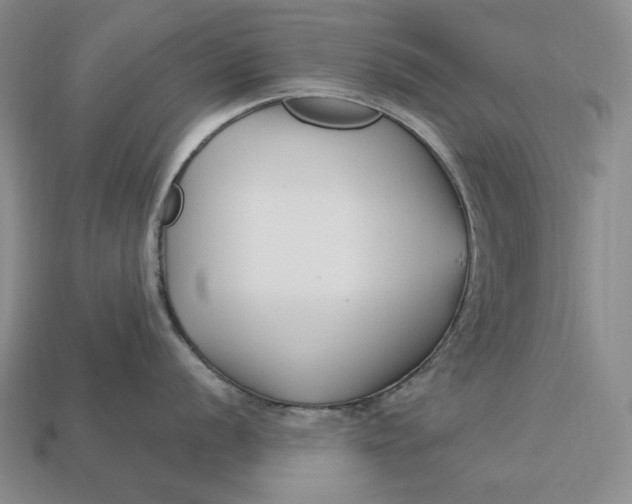 X0000113121056200909181645