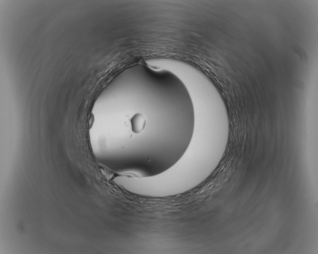 X0000113121057200909181644