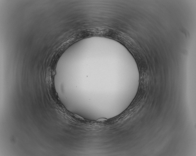 X0000113121058200909181644