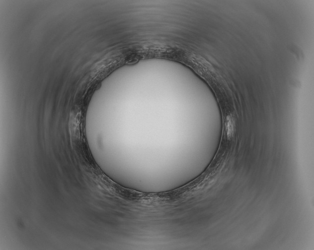 X0000113121059200909181644