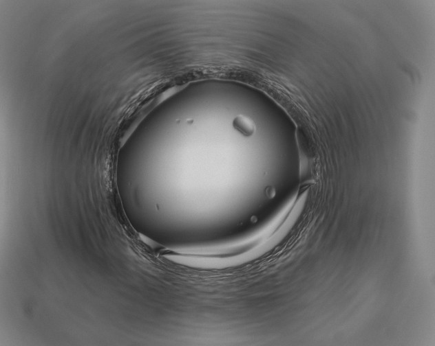 X0000113121060200909181644