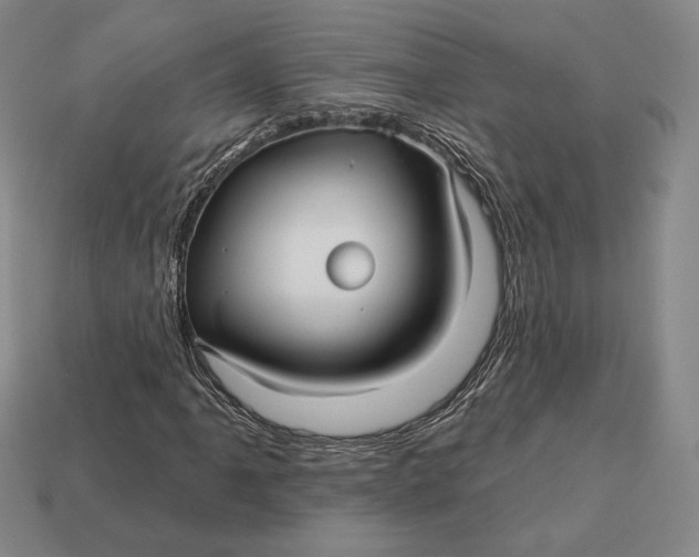 X0000113121061200909181644