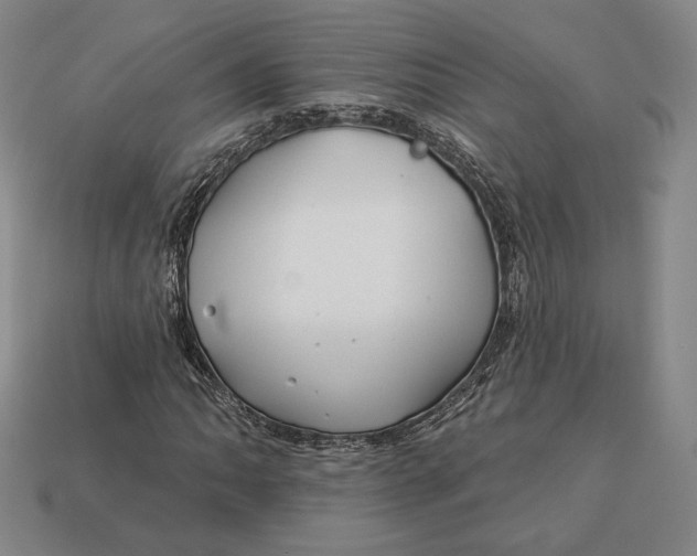 X0000113121062200909181644