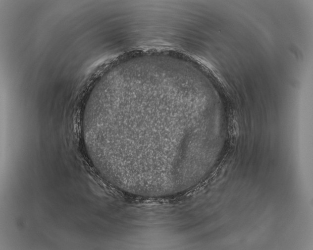 X0000113121063200909181644