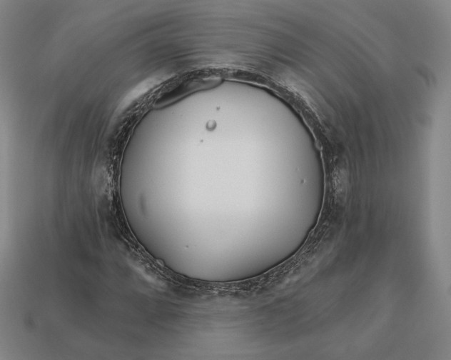 X0000113121064200909181644