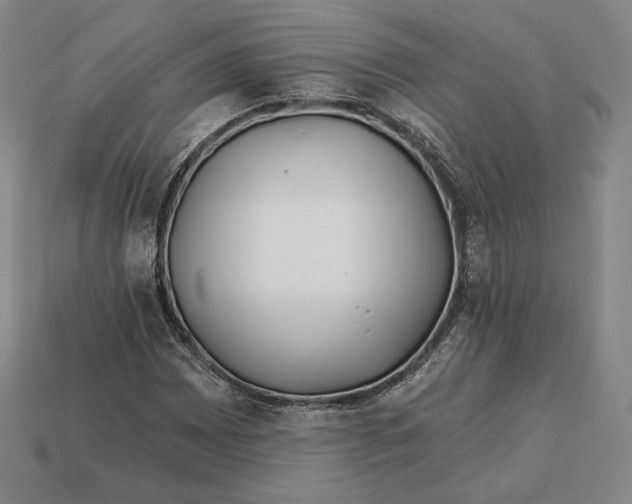 X0000113121065200909181644