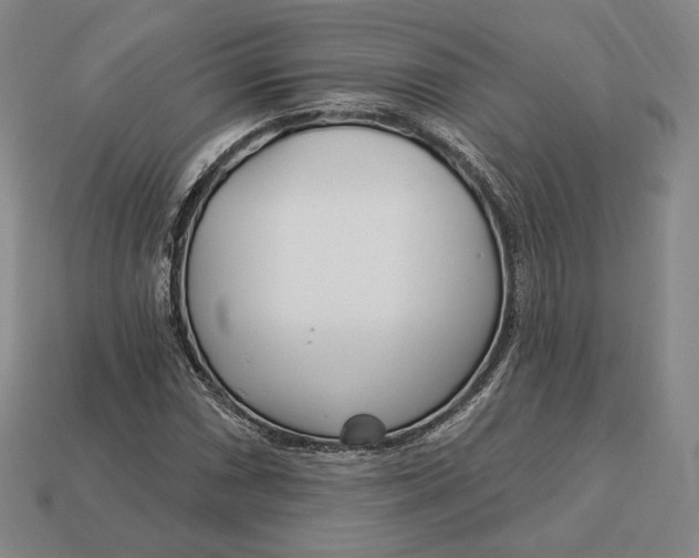 X0000113121066200909181644