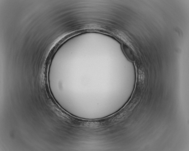 X0000113121068200909181644