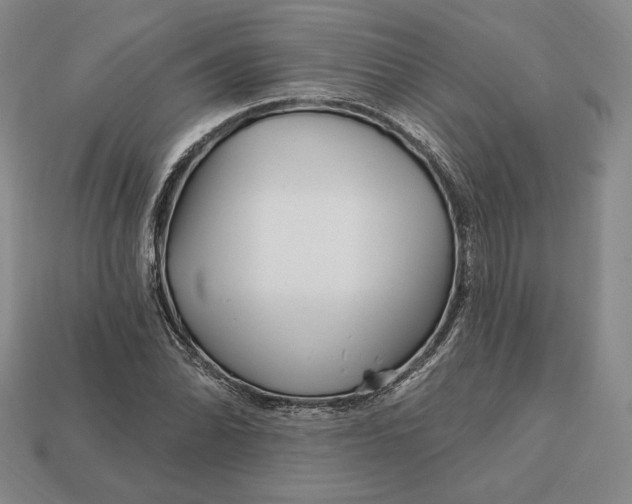 X0000113121070200909181644