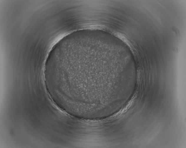 X0000113121071200909181644