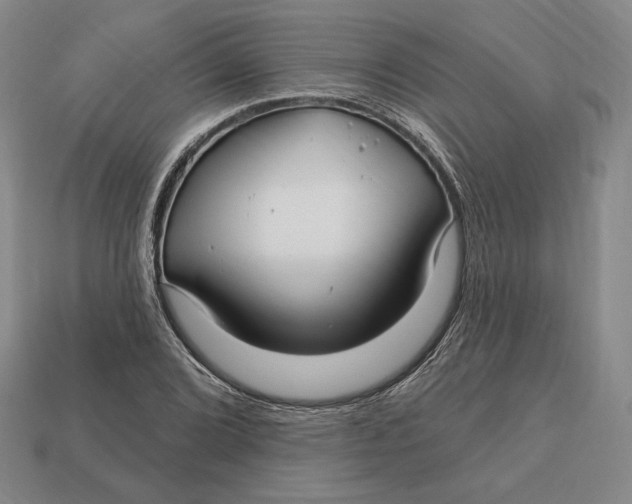 X0000113121072200909181644