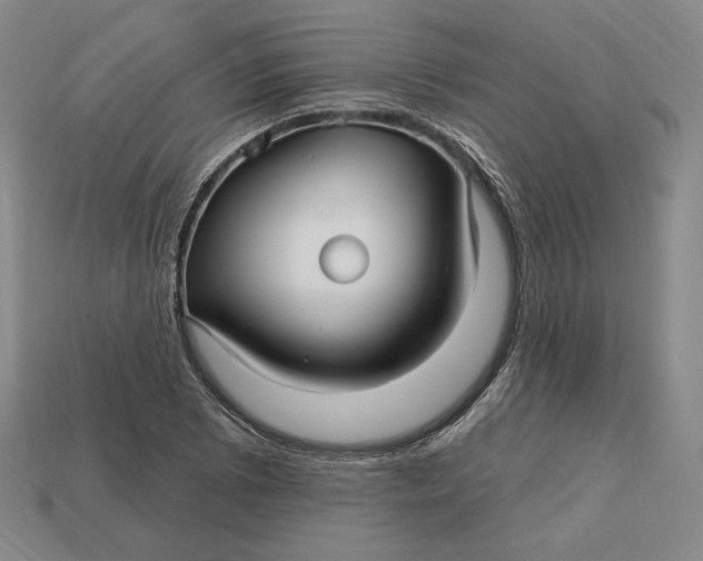 X0000113121073200909181644