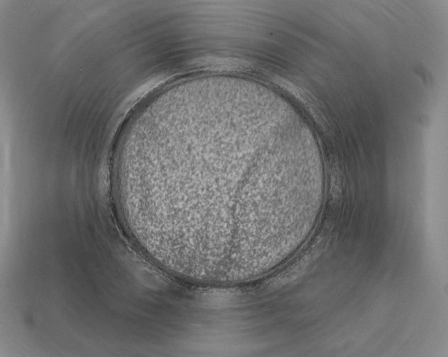 X0000113121074200909181644