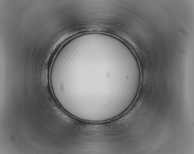 X0000113121075200909181644