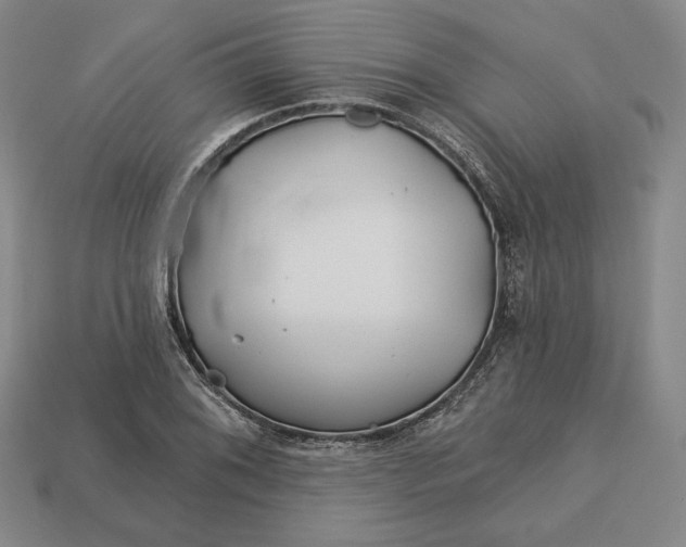 X0000113121076200909181644