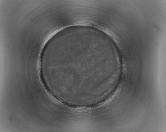 X0000113121077200909181644