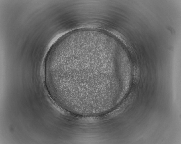 X0000113121078200909181644