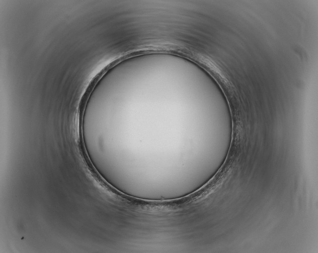 X0000113121079200909181644