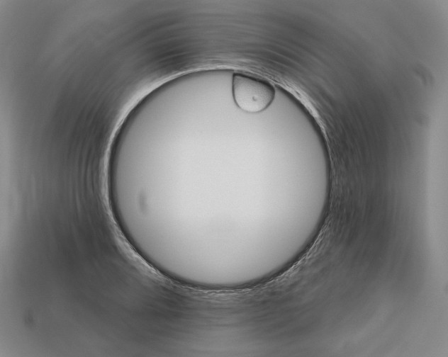 X0000113121080200909181644