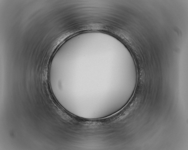 X0000113121081200909181644