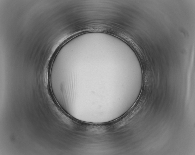 X0000113121083200909181644