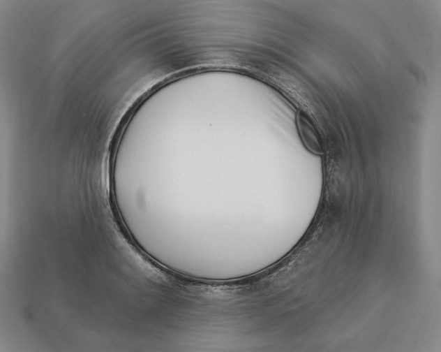 X0000113121084200909181644