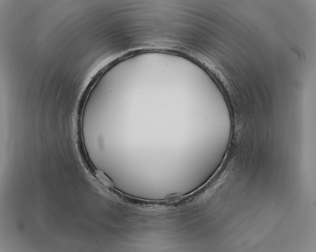 X0000113121085200909181644