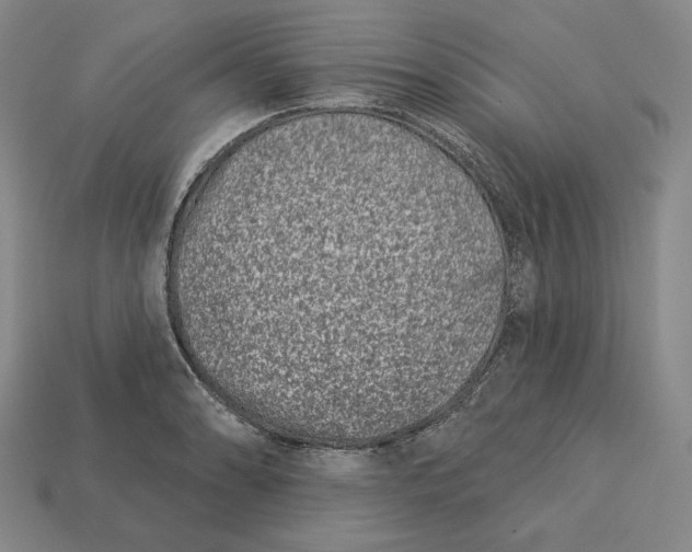 X0000113121086200909181644