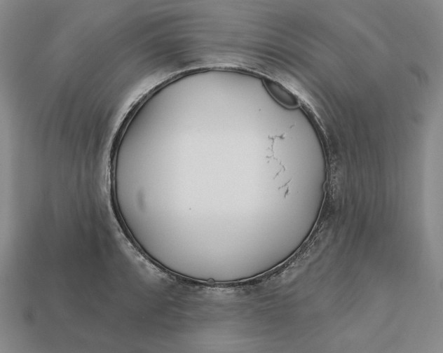 X0000113121088200909181644