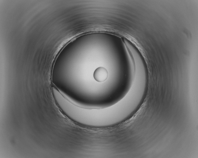 X0000113121089200909181644