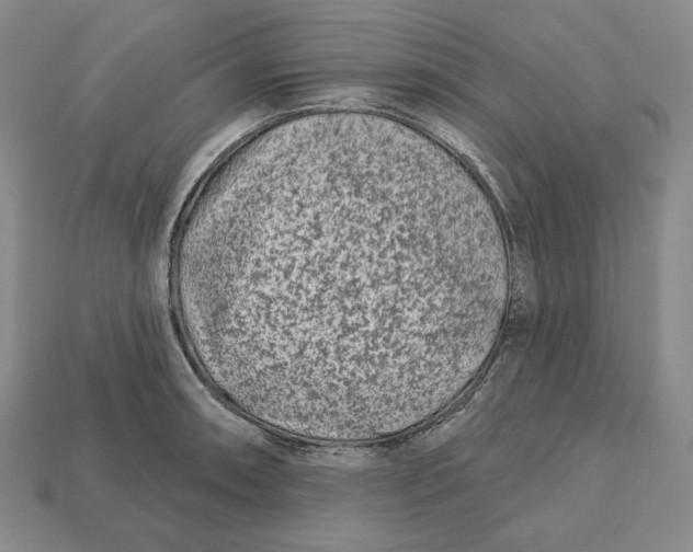 X0000113121090200909181644