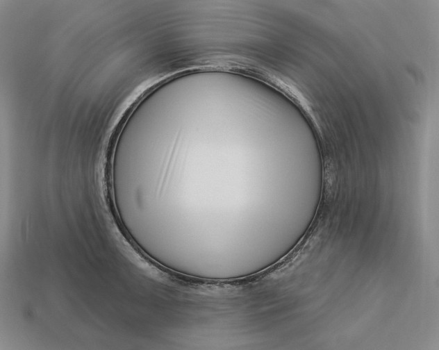 X0000113121091200909181644