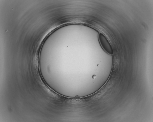 X0000113121092200909181644