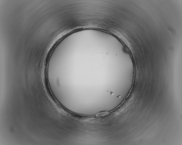 X0000113121093200909181644