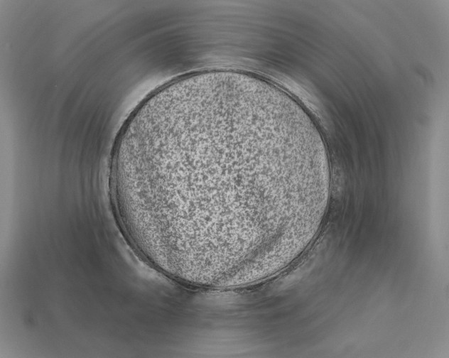 X0000113121094200909181644