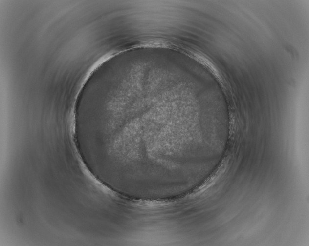 X0000113121095200909181644