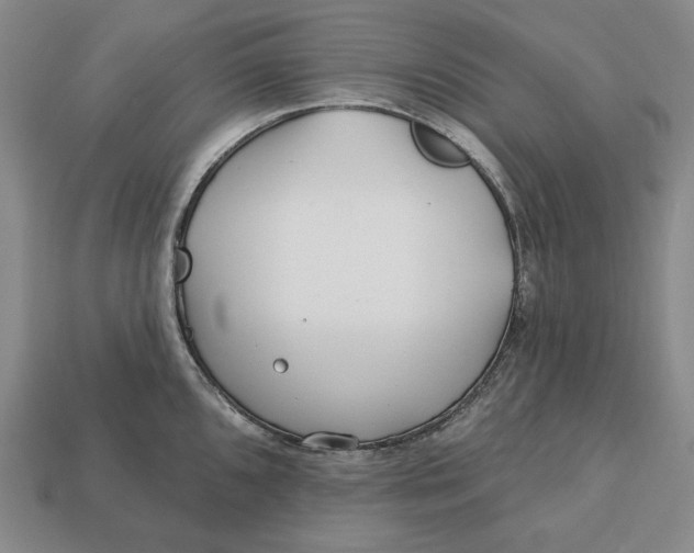 X0000113121096200909181644