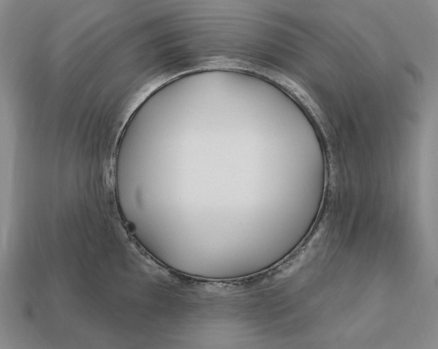 X0000113121097200909181644