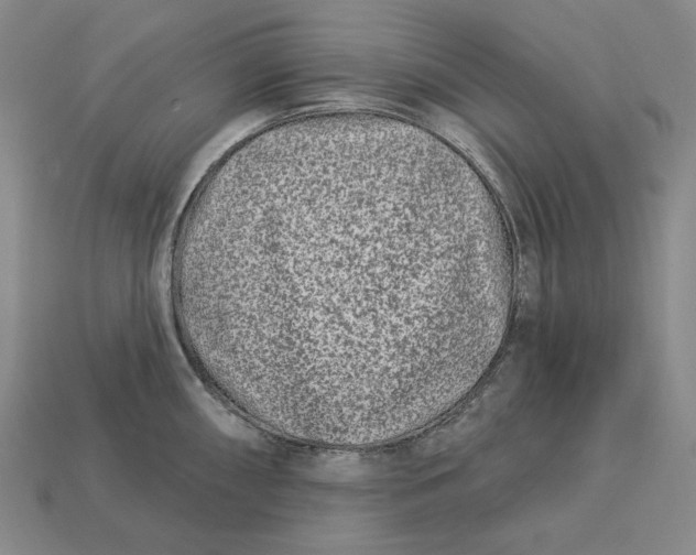 X0000113121098200909181644