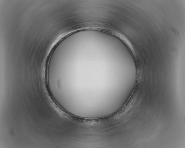 X0000113121099200909181643