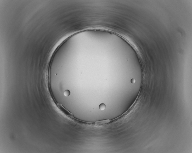 X0000113121100200909181643