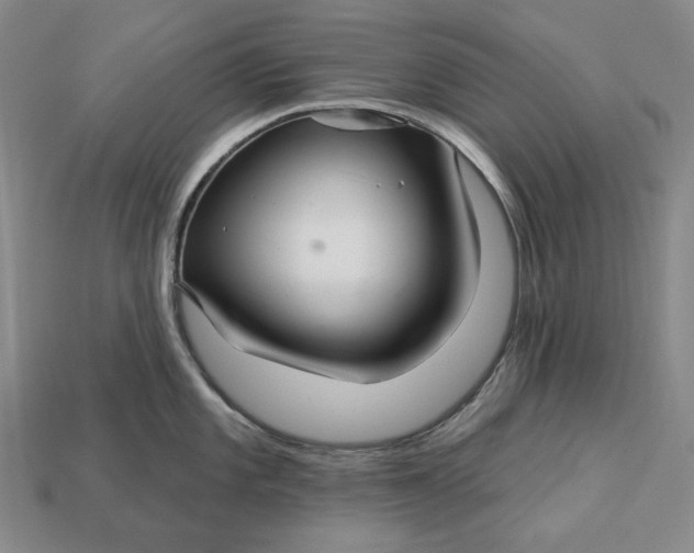 X0000113121101200909181643