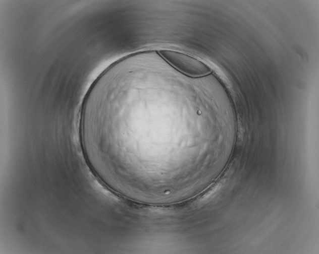 X0000113121102200909181643