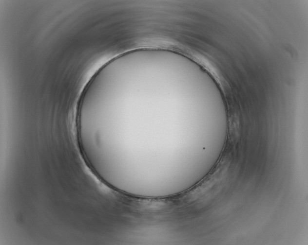 X0000113121103200909181643