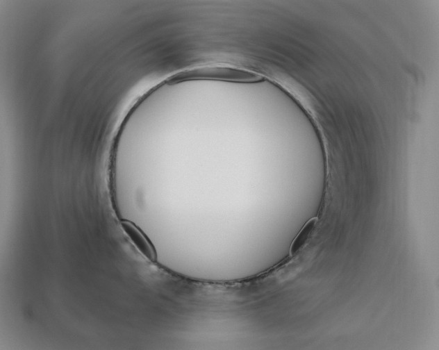 X0000113121104200909181643