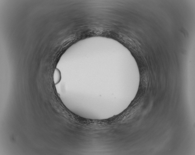 X0000113121105200909181643