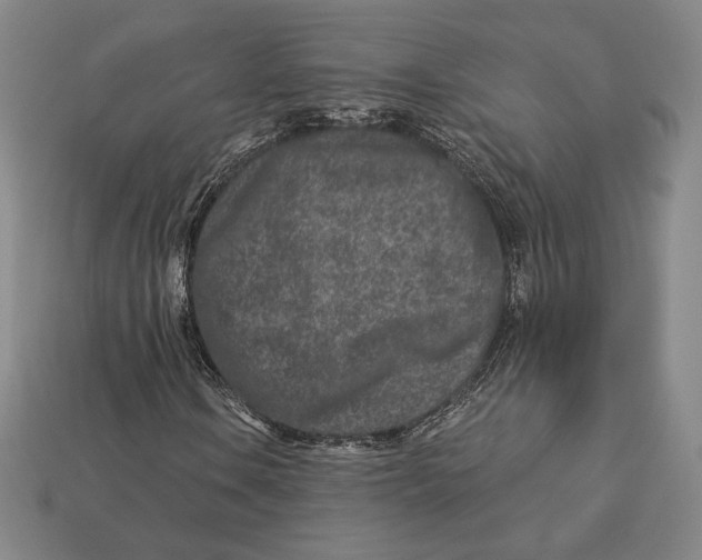 X0000113121106200909181643